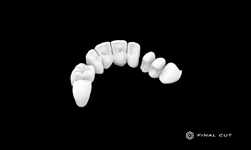 PMMA Crown & Bridge - Design Service - FinalCut™