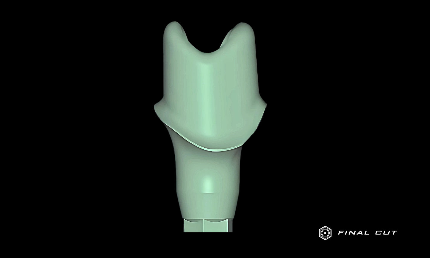 Titanium Custom Abutment - Design Service - FinalCut™
