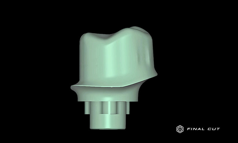 Titanium Custom Abutment - Design Service - FinalCut™