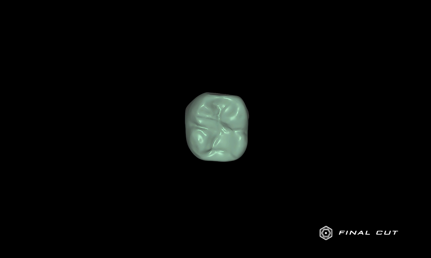 Zirconia Crown & Bridge - Design Service - FinalCut™