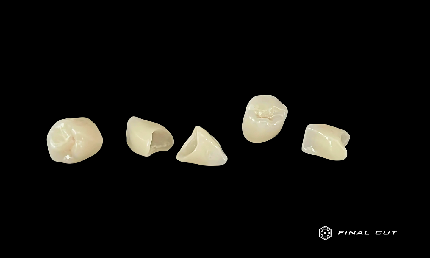 Zirconia Crown & Bridge - Milling Service - FinalCut™