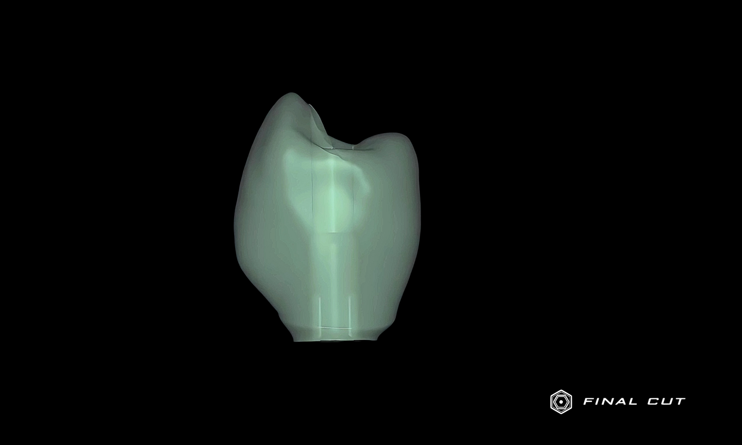 Zirconia Implant Crown & Bridge - Design & Milling Service - FinalCut™