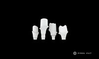 Titanium Custom Abutment - Design & Milling Service - FinalCut™