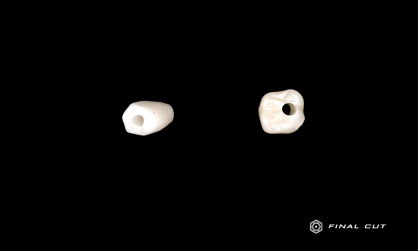 Zirconia Implant Crown & Bridge - Design & Milling Service - FinalCut™