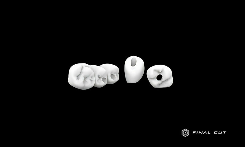 PMMA Implant Crown & Bridge - Milling Service - FinalCut™