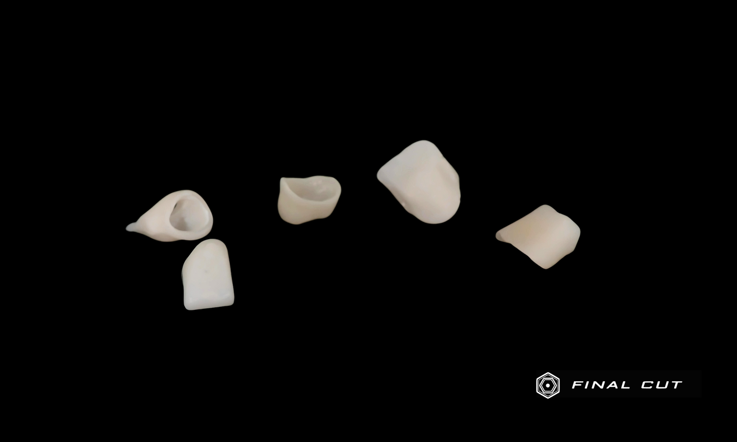 Zirconia Coping - Milling Service - FinalCut™