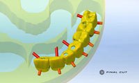 PMMA Implant Crown & Bridge - Milling Service - FinalCut™